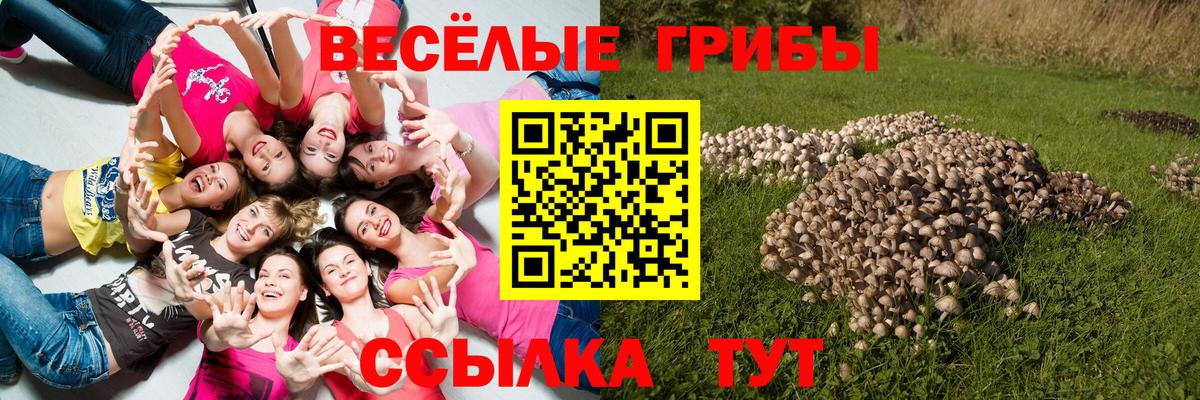 Тверь  Псилоцибиновые грибы прущие грибы  наркошоп  Вход с VPN 